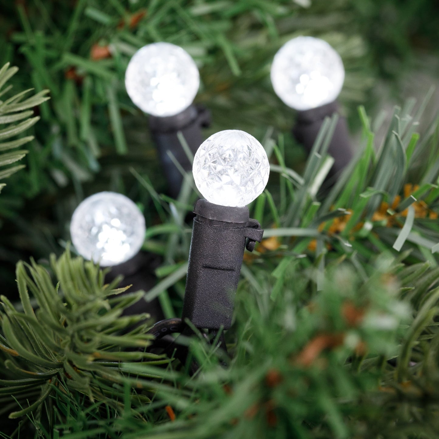 LED G12 Berry Christmas Lights - Pure White - 16' Black Wire - 50 Ct