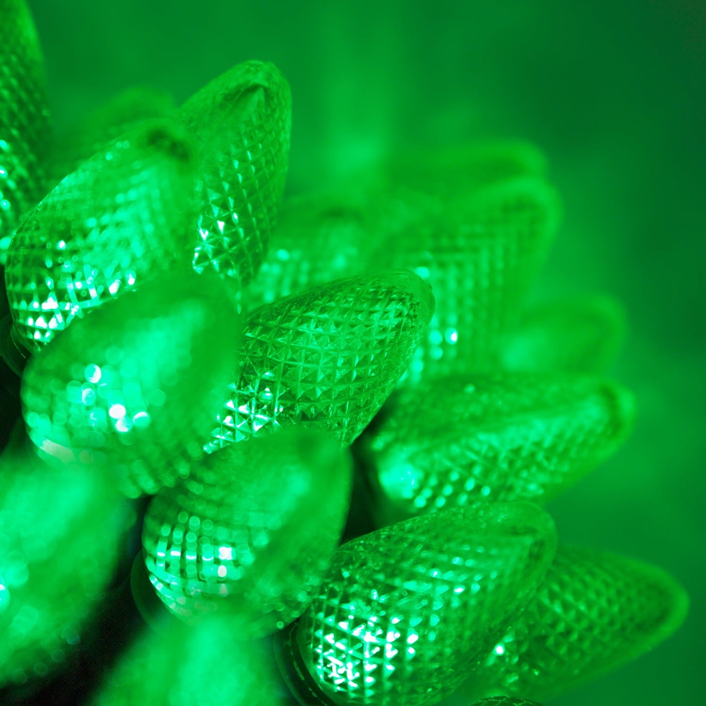 25Ct C7 LED Multi-Color Christmas Lights, 8" Spacing – Green Wire